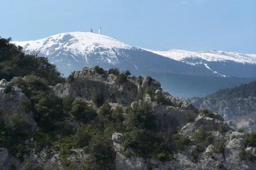 Chambre: une fenêtre sur le Ventoux Plaisians Exterior foto